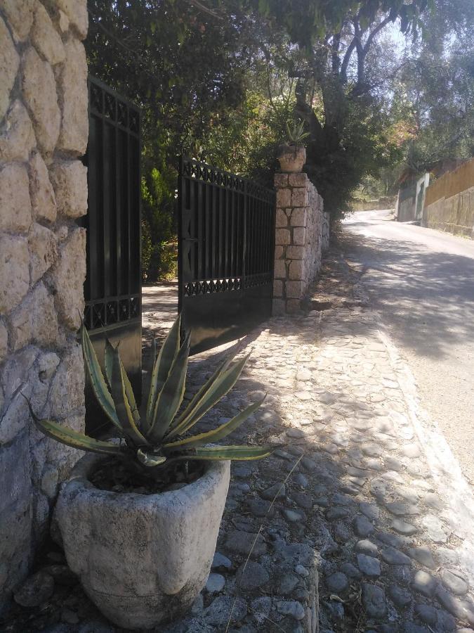 Olea Home Agia Pelagia Chlomou Exteriör bild