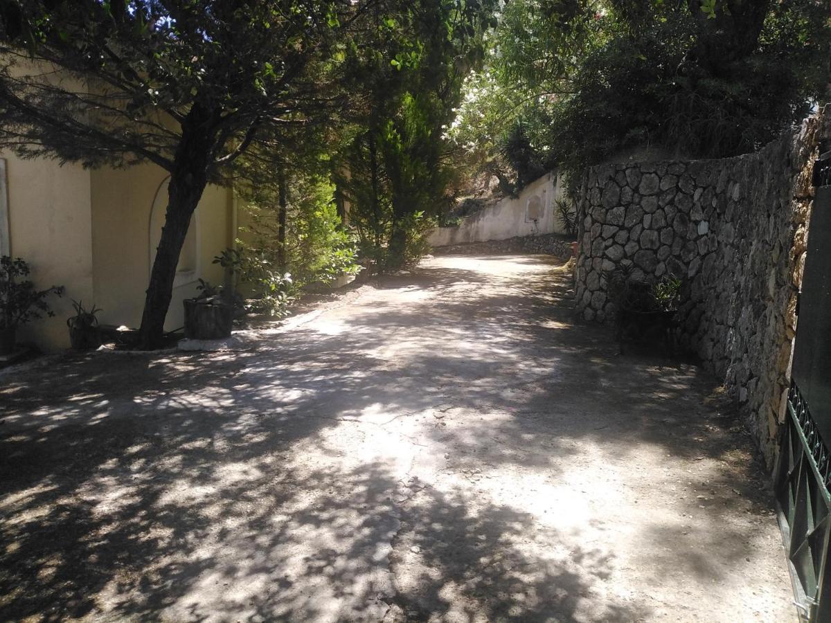 Olea Home Agia Pelagia Chlomou Exteriör bild