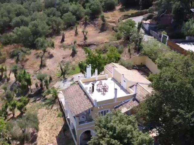 Olea Home Agia Pelagia Chlomou Exteriör bild